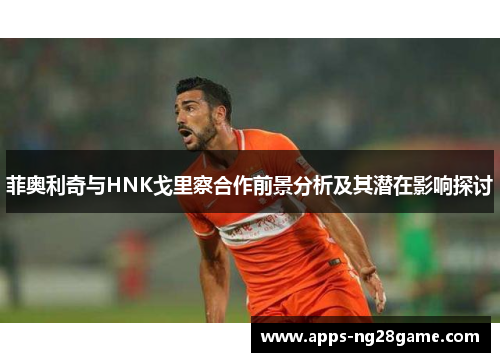 菲奥利奇与HNK戈里察合作前景分析及其潜在影响探讨