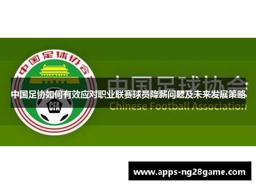 中国足协如何有效应对职业联赛球员降薪问题及未来发展策略