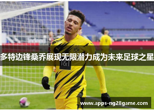 多特边锋桑乔展现无限潜力成为未来足球之星