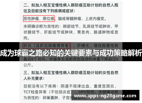 成为球霸之路必知的关键要素与成功策略解析