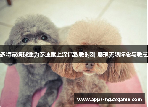 多特蒙德球迷为泰迪献上深情致敬时刻 展现无限怀念与敬意