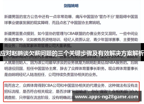 应对赵鹏谈欠薪问题的三个关键步骤及有效解决方案解析