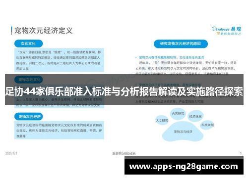 足协44家俱乐部准入标准与分析报告解读及实施路径探索